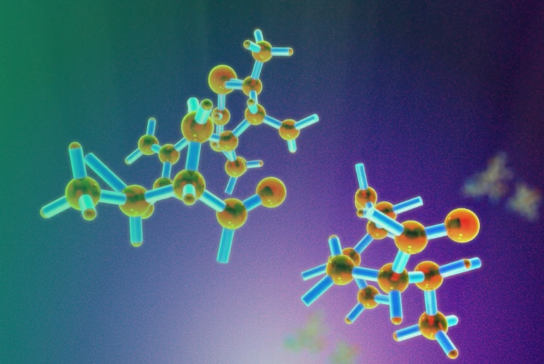 Heat Shock and Cold Shock Proteins cells