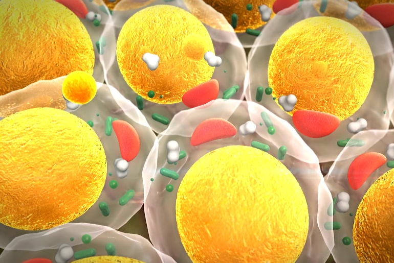 Heat Shock and Cold Shock Proteins science